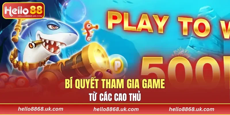 Bí quyết tham gia game từ các cao thủ