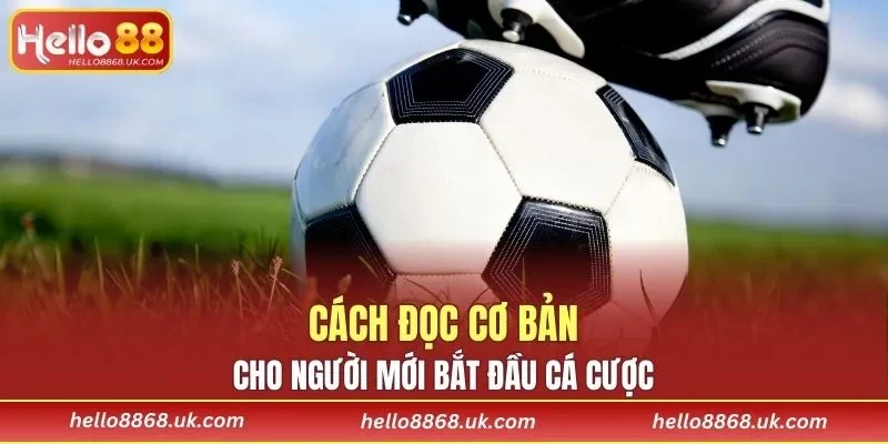 Cách đọc cơ bản cho người mới