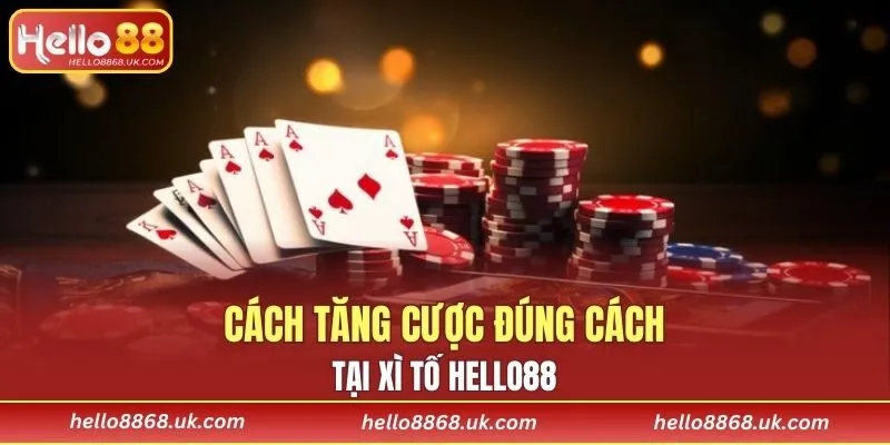 Cách tăng cược đúng cách tại xì tố HELLO88