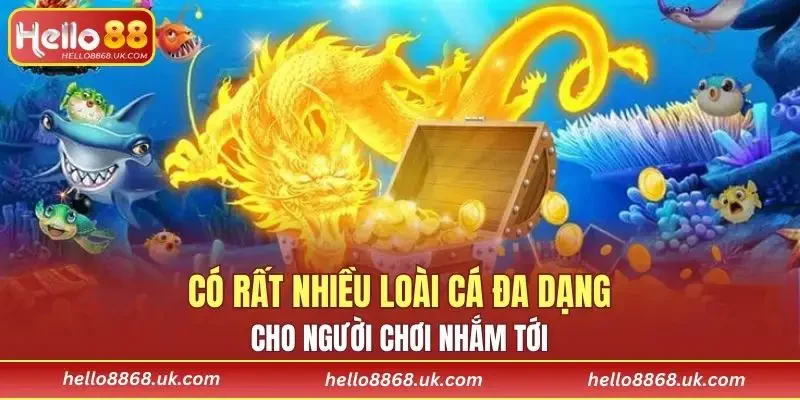 Có rất nhiều loài cá đa dạng cho người chơi nhắm tới