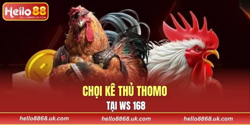Đa dạng các hình thức chọi kê tại nhà cái