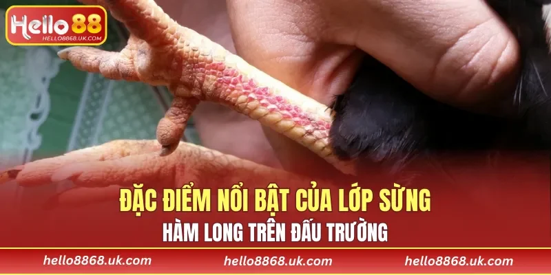 Đặc điểm về phong thái thi đấu nổi bật