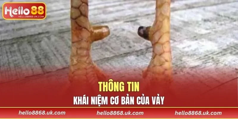 Giải mã về khái niệm