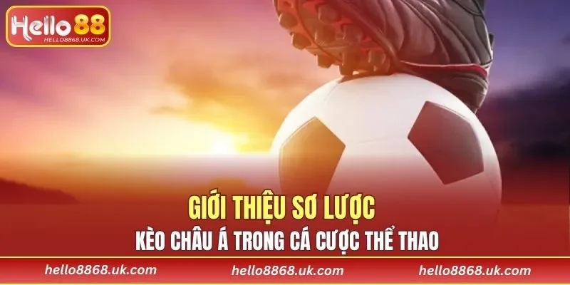 Giới thiệu sơ lược kèo châu Á trong cá cược thể thao