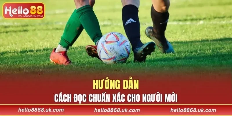 Hướng dẫn cách đọc chuẩn xác không thể bỏ qua