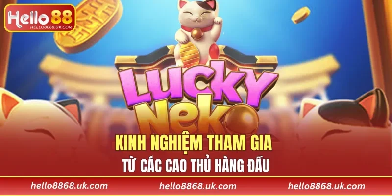 Kinh nghiệm tham gia từ các cao thủ hàng đầu