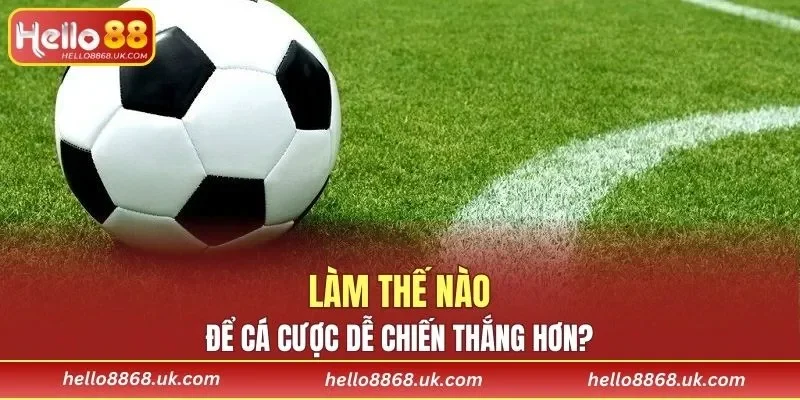 Làm thế nào để cá cược dễ chiến thắng hơn?