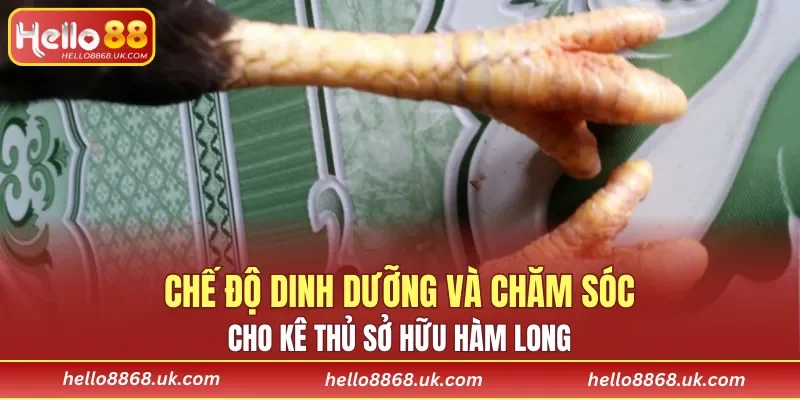 Lên kế hoạch chế độ luyện tập phù hợp