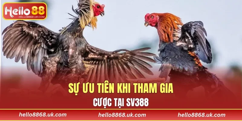 Lợi ích đặc sắc khi cược tại nền tảng