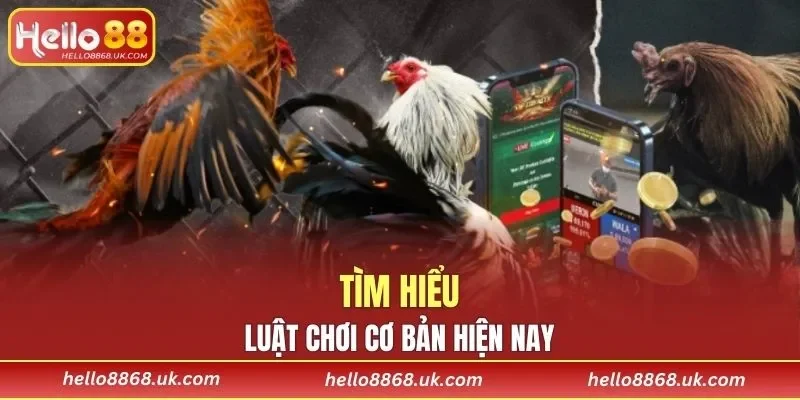 Nắm rõ luật tham gia cơ bản