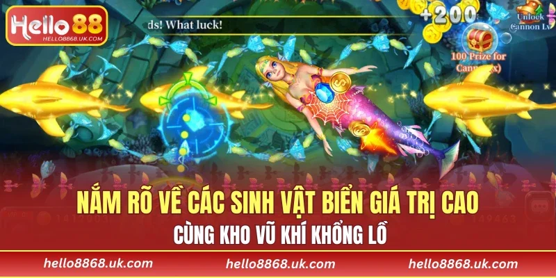 Nắm rõ về các sinh vật biển giá trị cao cùng kho vũ khí khổng lồ
