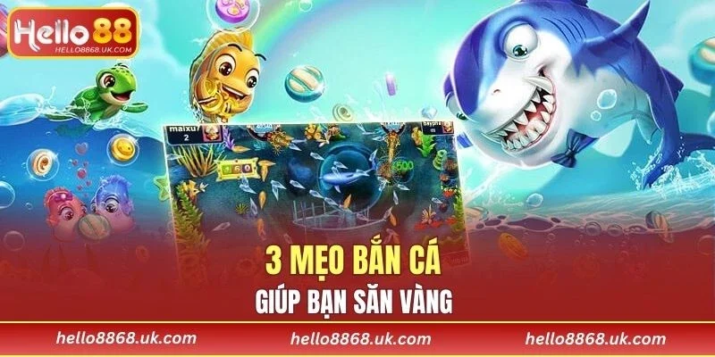 Nhanh tay bỏ túi những kinh nghiệm quý giá