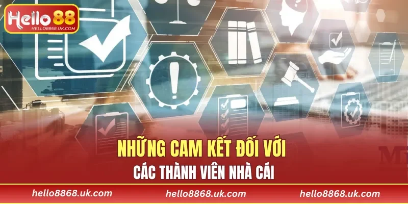 Những cam kết đối với các thành viên nhà cái