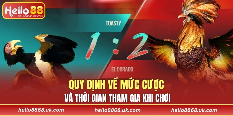 Quy định về mức cược và thời gian tham gia khi chơi