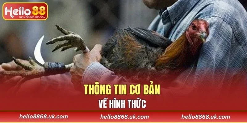 Thành viên cần nắm vững các thông tin cơ bản