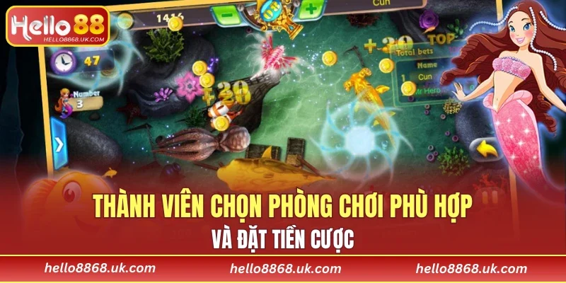 Thành viên chọn phòng chơi phù hợp và đặt tiền cược