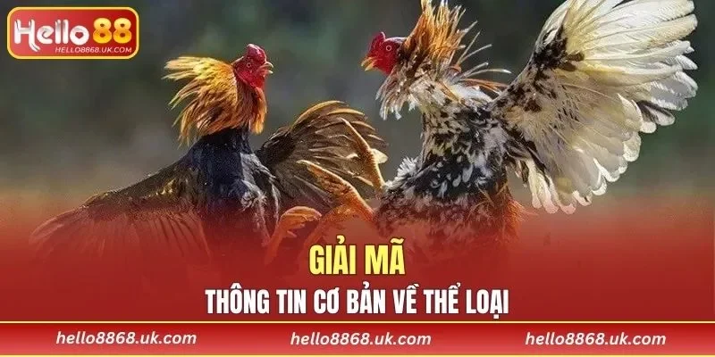 Tìm hiểu thông tin về đá gà cựa dao
