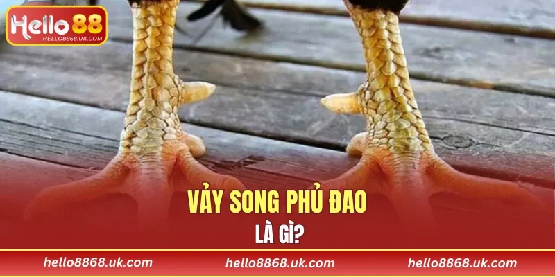 Tìm hiểu tổng quan về loại đặc điểm ngoại hình hiếm này
