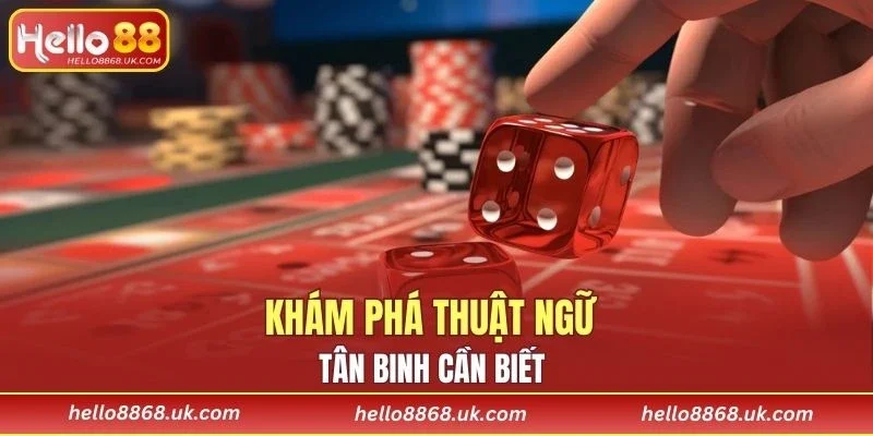 Việc nắm vững các thuật ngữ cơ bản là bước không thể thiếu
